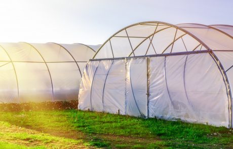 Uso del plástico en el sector agrícola Uso del plástico en el sector agrícola