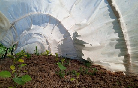 Uso del plástico en el sector agrícola Uso del plástico en el sector agrícola