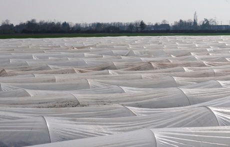 Uso del plástico en el sector agrícola Uso del plástico en el sector agrícola