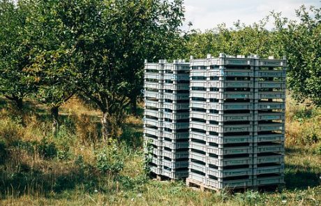 Uso del plástico en el sector agrícola Uso del plástico en el sector agrícola