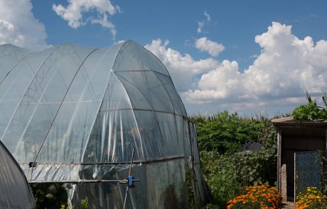 Uso del plástico en el sector agrícola Uso del plástico en el sector agrícola