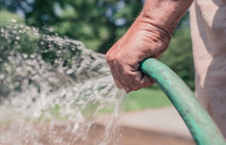 pexels-gratisography-2259 Aplicación del plástico en la industria agrícola