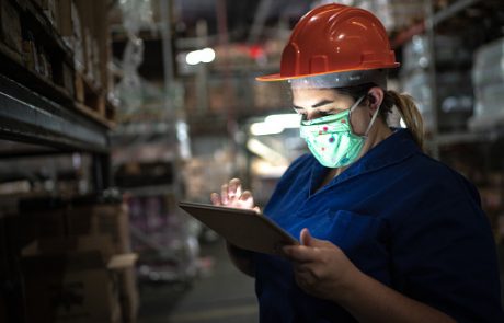 Procesamiento y calidad